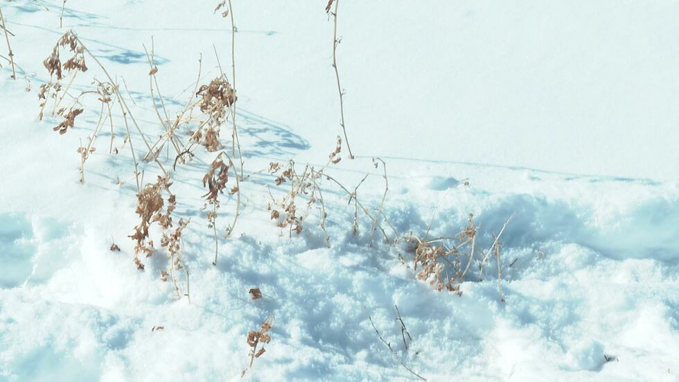 Farmers and the agriculture community have concerns as southern Wisconsin has seen a lack of...