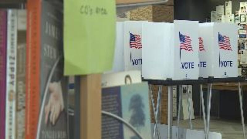 Library Voting Early voting at libraries in Madison are a success
