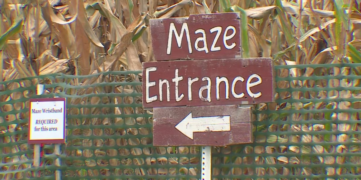Celebrating the history of the Badger: Lodi corn maze announces this year’s theme
