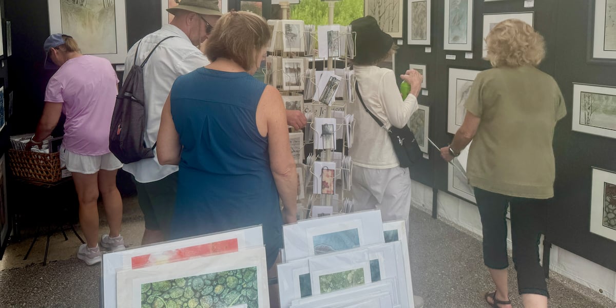 Agora Art Fair colors Fitchburg with local creations, draws hundreds