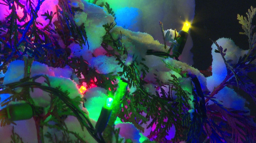 The beloved annual University Avenue Holiday Lights have been running for 29 years.