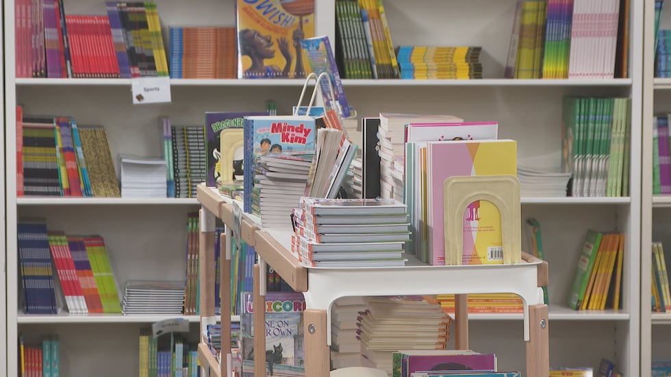 Work Program And Budget Dane County budget cuts threaten $55K for kids’ literacy program