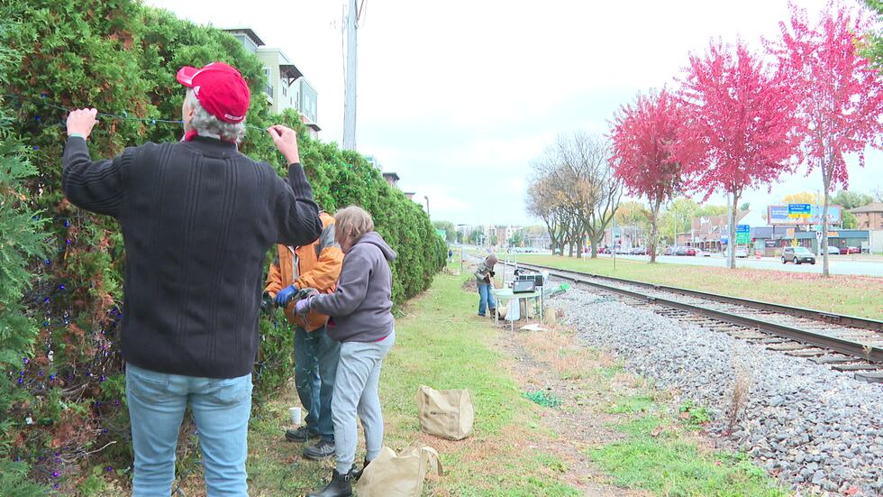 Volunteers return to set up holiday lights alongside University Avenue