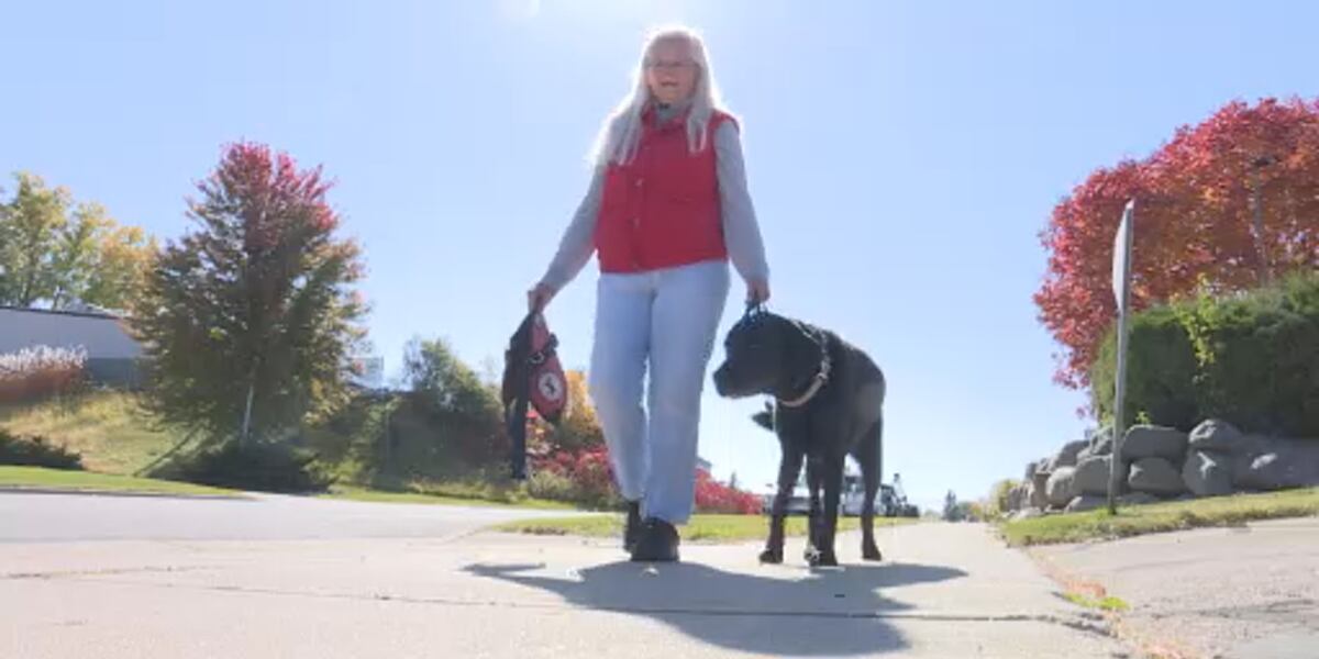www.nbc15.com