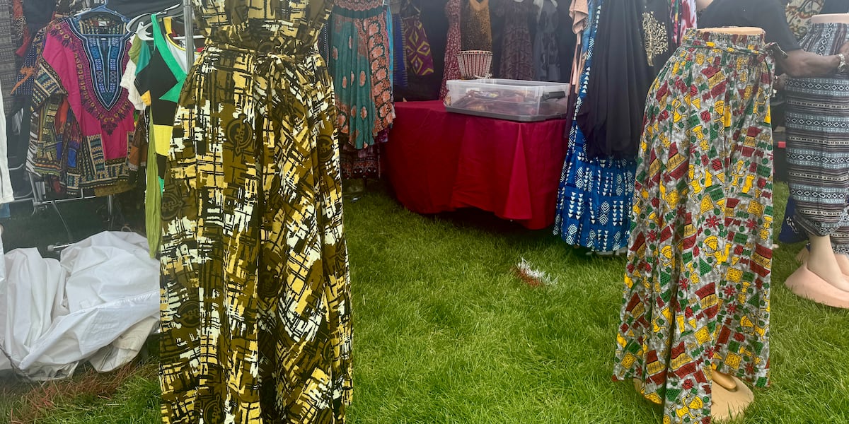 Africa Fest: ‘a celebration of African culture and traditions’