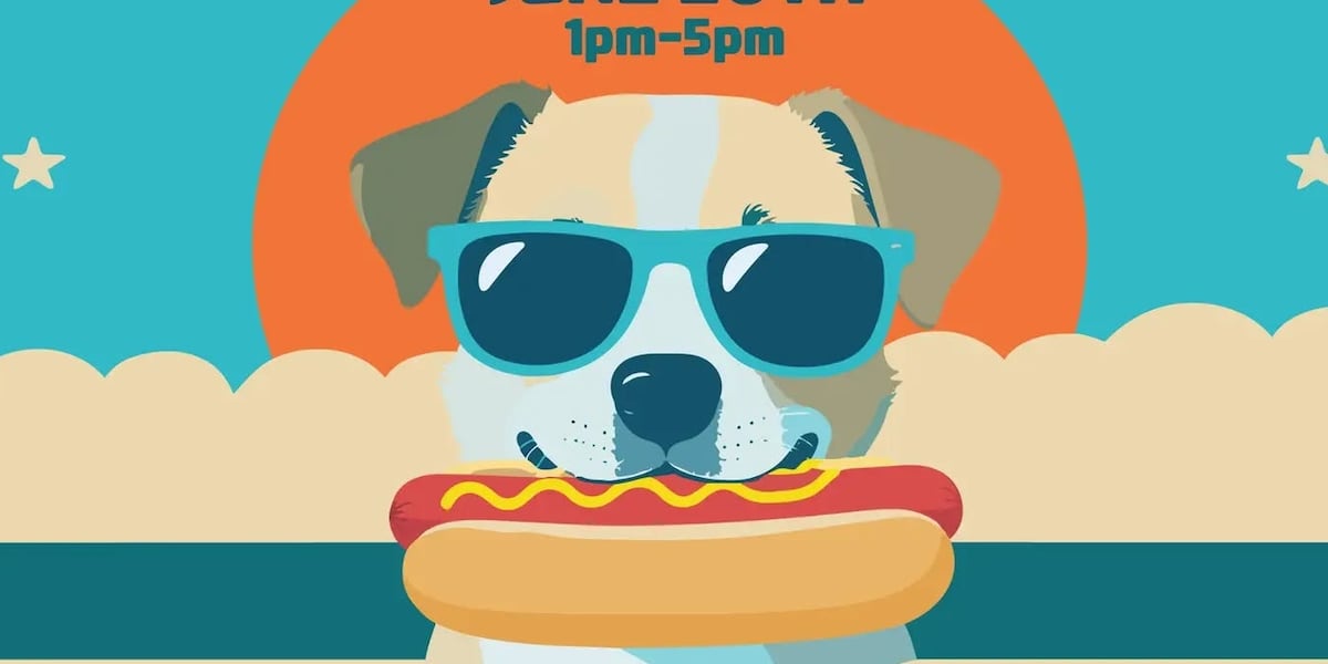 Brown Paws Dog Rescue to host Verona fundraiser featuring adoptable dogs