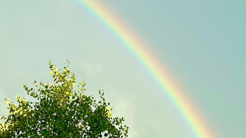 Oregon backyard rainbow