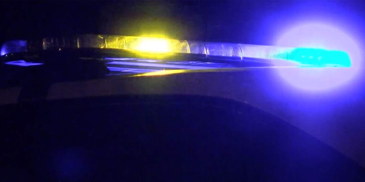 Dane Co. Medical Examiner identifies Minnesota teen killed in I-90 crash near DeForest
