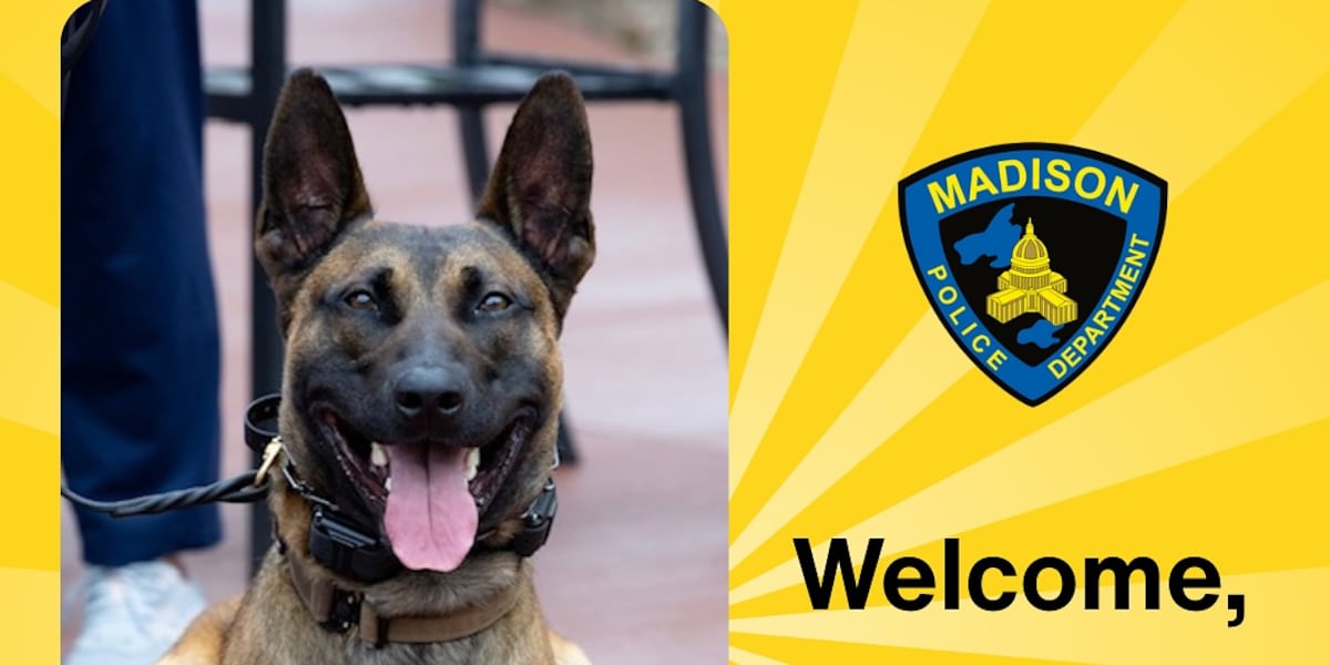 Madison Police Department welcomes new K9 officer