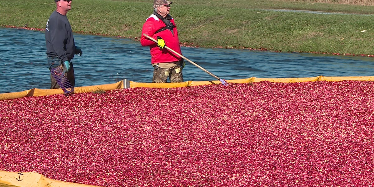Former Wisconsin Governor Tommy Thompson trades politics for cranberry farming