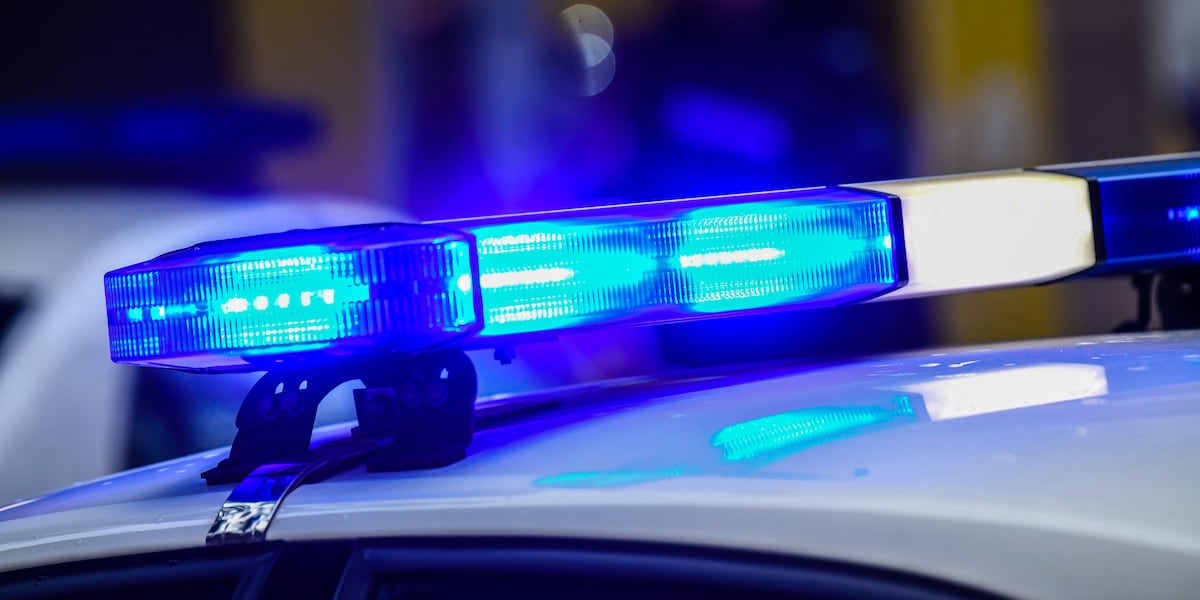 Columbia Co: Three horses euthanized after reports of animal abuse