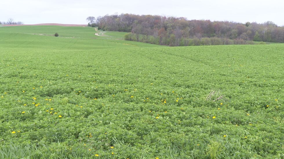 Farmers planting corn and soybeans are starting their planting now that the ground has reached...