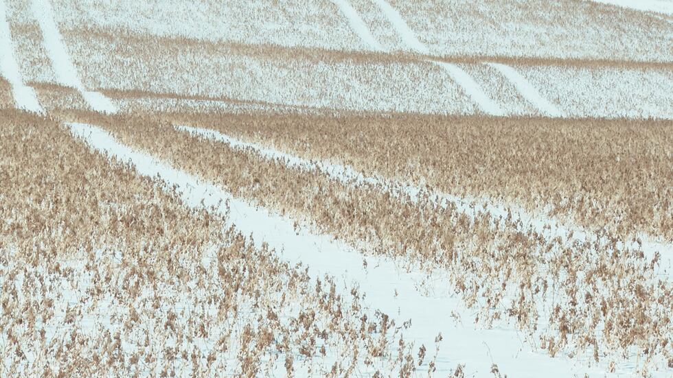 Farmers and the agriculture community have concerns as southern Wisconsin has seen a lack of...