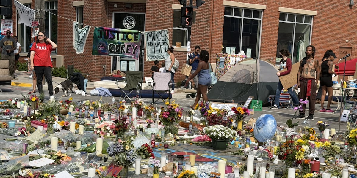 Demonstrators march through Madison for third day after fatal Madison officer-involved shooting