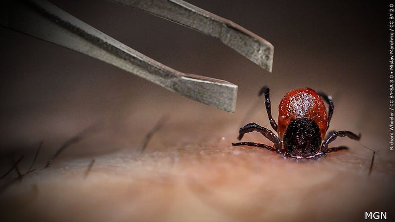 Tick generic