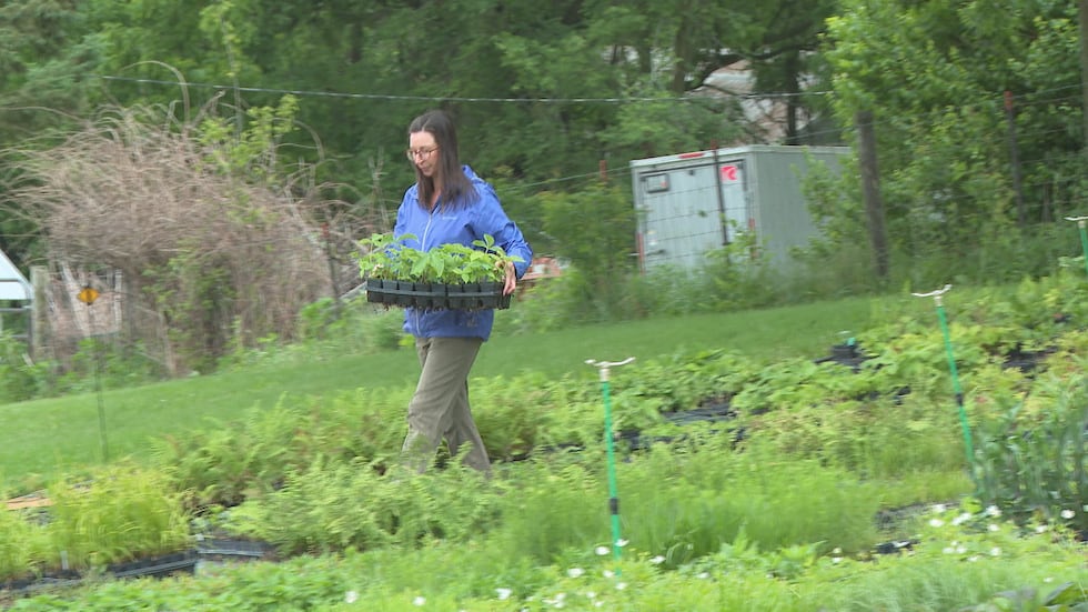 Ten thousand plants from a Dodgeville plant store will be on display at the Obama Presidential...