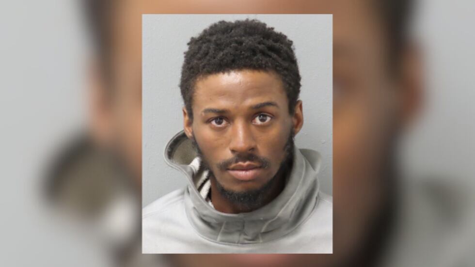 Anthony McGee, 19, is facing numerous charges for the attacks, including multiple assault...