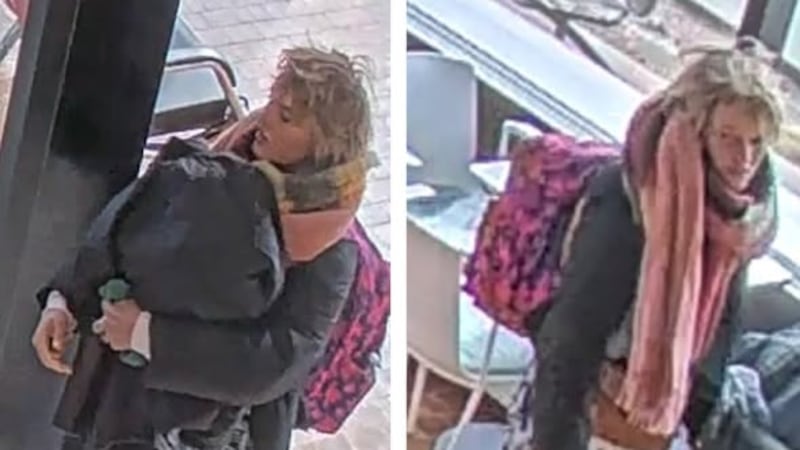 Suspect in theft case