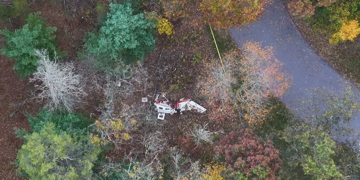 Six killed in Piper PA‑46 crash near Dellwood, Wisconsin