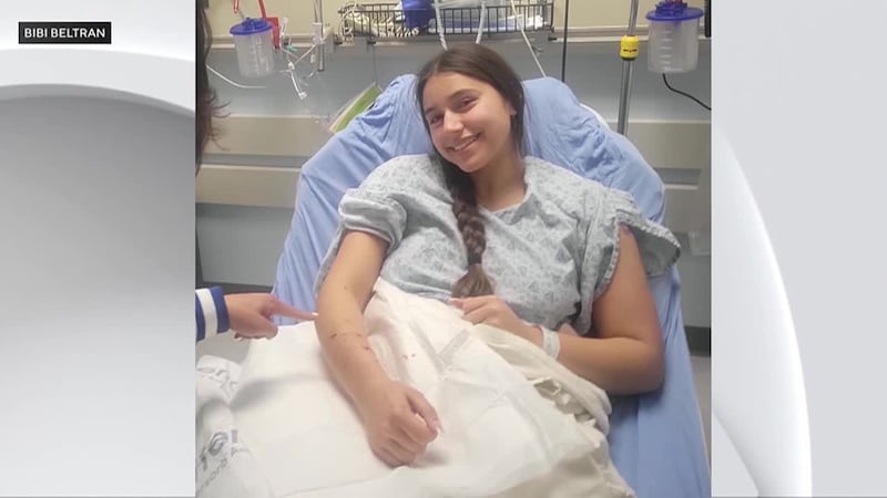 A teen in California was bitten by a sea lion while working towards a junior lifeguard...