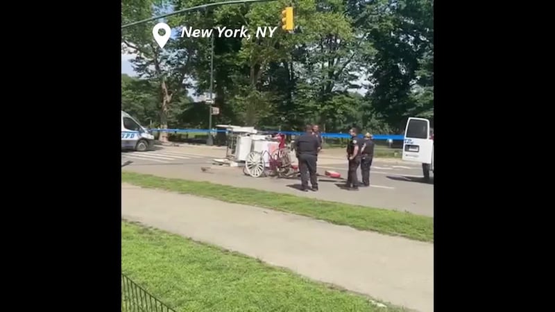 An 18-year-old thrown to the ground Wednesday when a Central Park carriage horse bolted away...