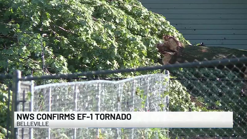 The tornado left a trail of destruction in its wake.