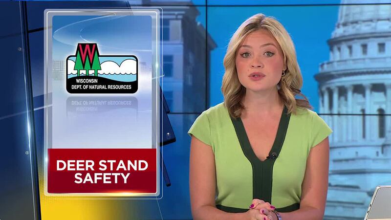 The DNR said it is important to place tree stands with caution as trees that are infested with...